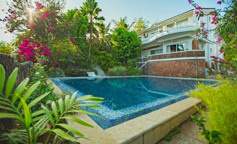 AIV-NorthGoa-0387