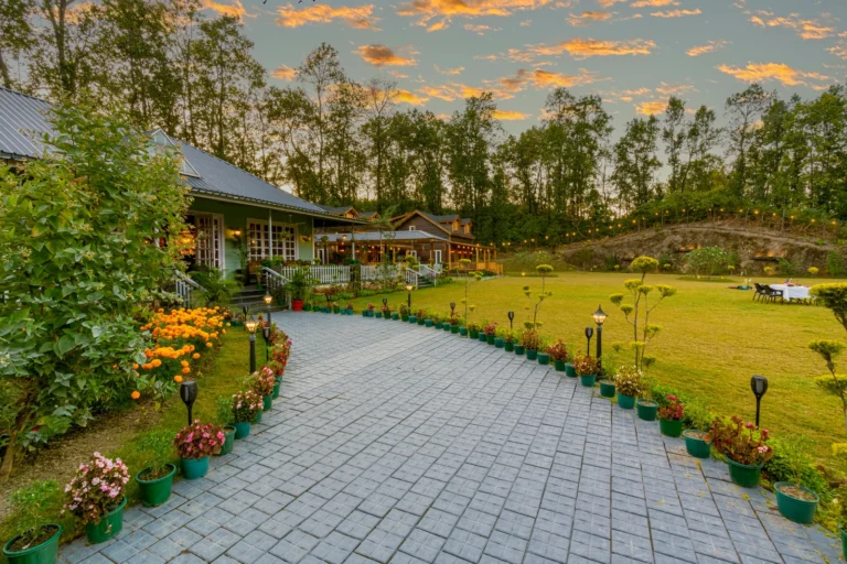 The Woods: Sal Villa