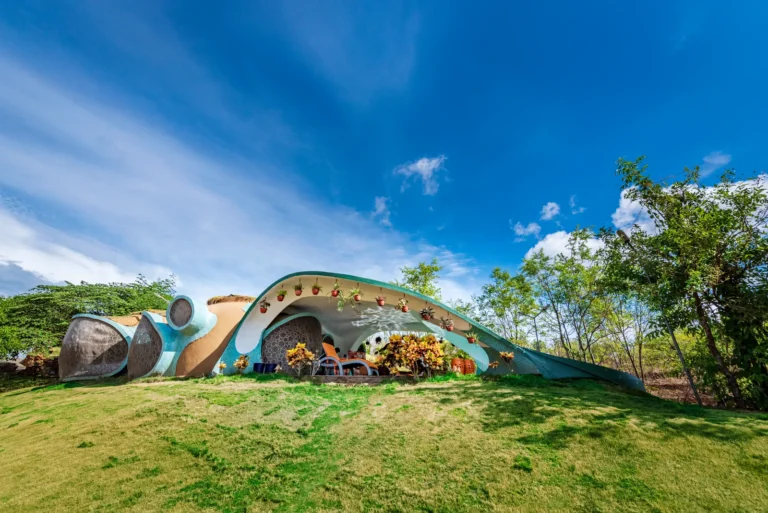 AsanjA Dragonfly (India’s first earth sheltered home)