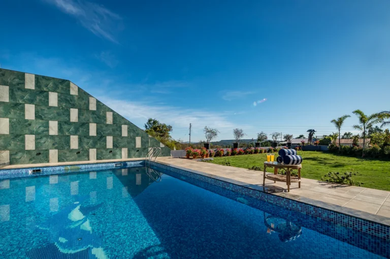 Blueberry – Panchgani