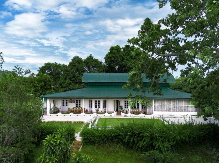 AIV-Assam-0002