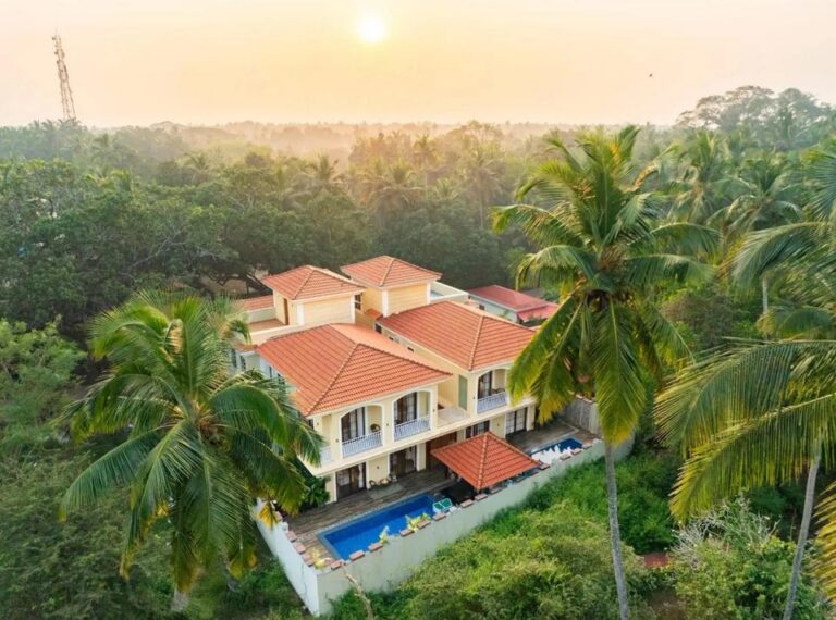 AIV-Goa-0010